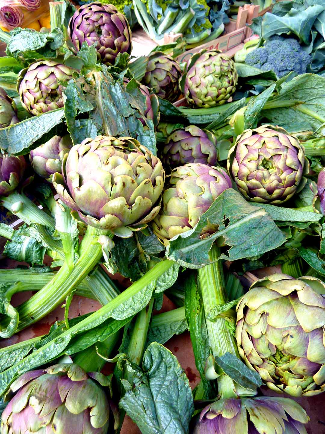 Recipe – Salmon "Sautee" w/ Asparagus, Leeks, Artichokes & Mint